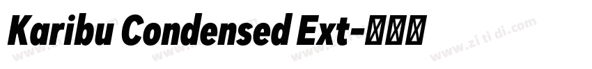 Karibu Condensed Ext字体转换